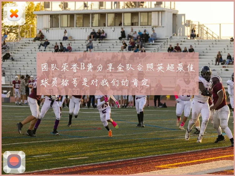 团队荣誉B费分享全队合照英超最佳球员称号是对我们的肯定